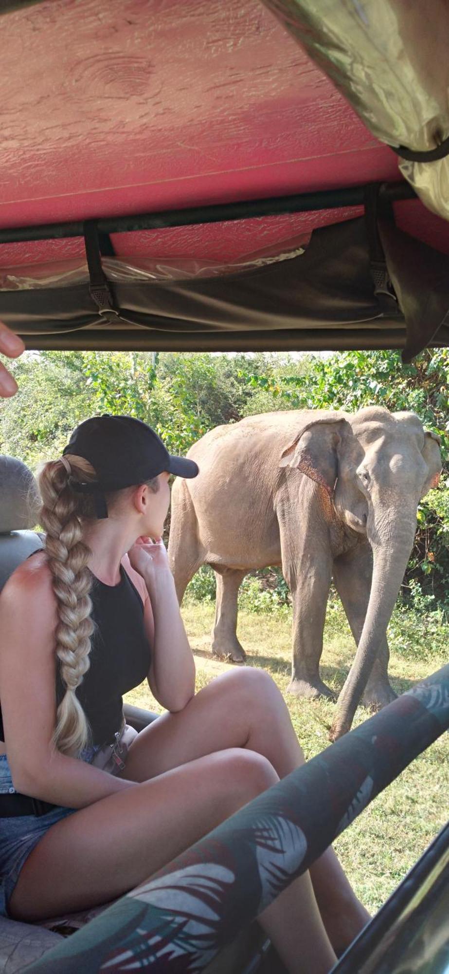 Share Safari House Udawalawe B&B 외부 사진